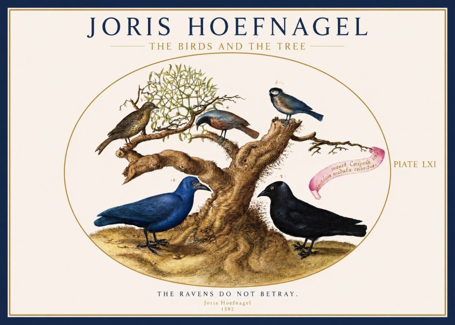 Joris Hoefnagel The Birds and the Tree No1 - Poszter