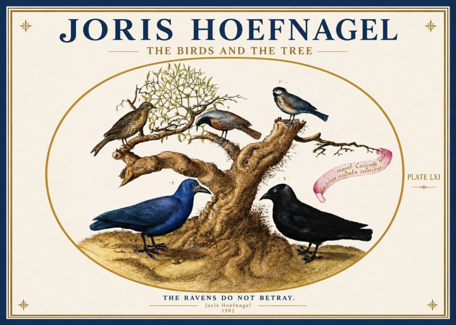 Joris Hoefnagel The Birds and the Tree No3 - Poszter