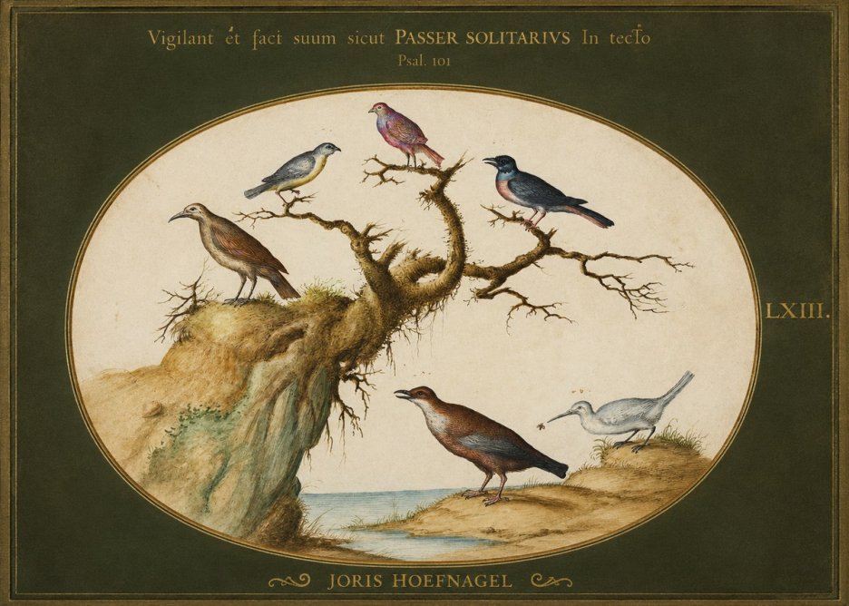 Joris Hoefnagel Vigilant Et Fact Suum Sicut Passer Solitarius in Tecto No1 - Poszter