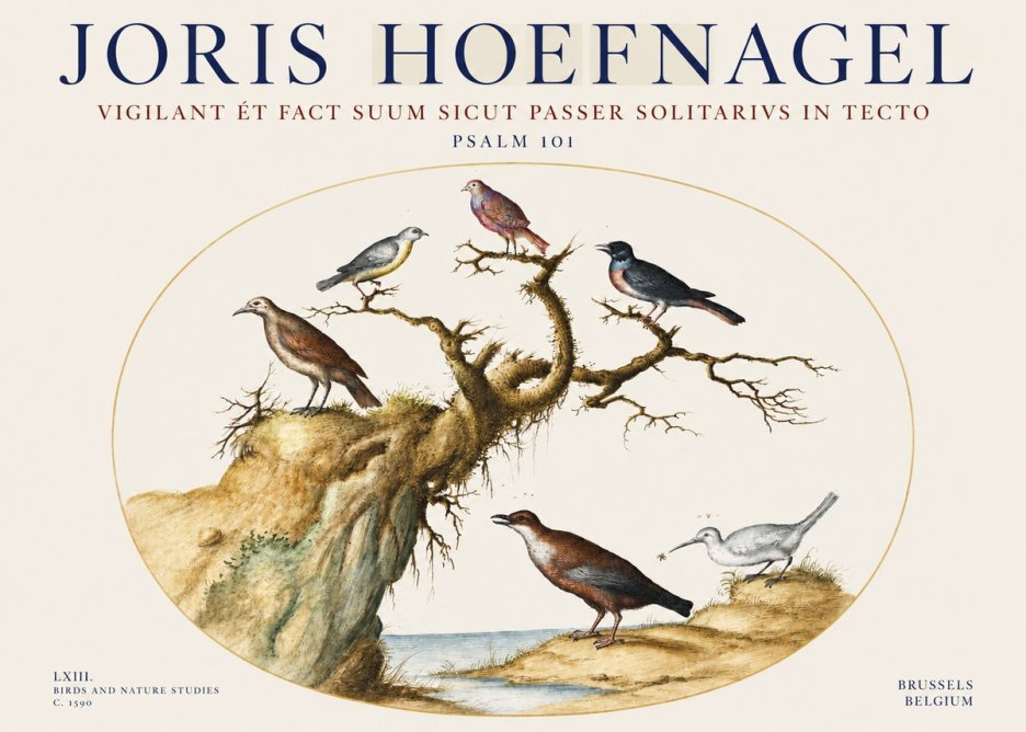 Joris Hoefnagel Vigilant Et Fact Suum Sicut Passer Solitarius in Tecto No3 - Poszter