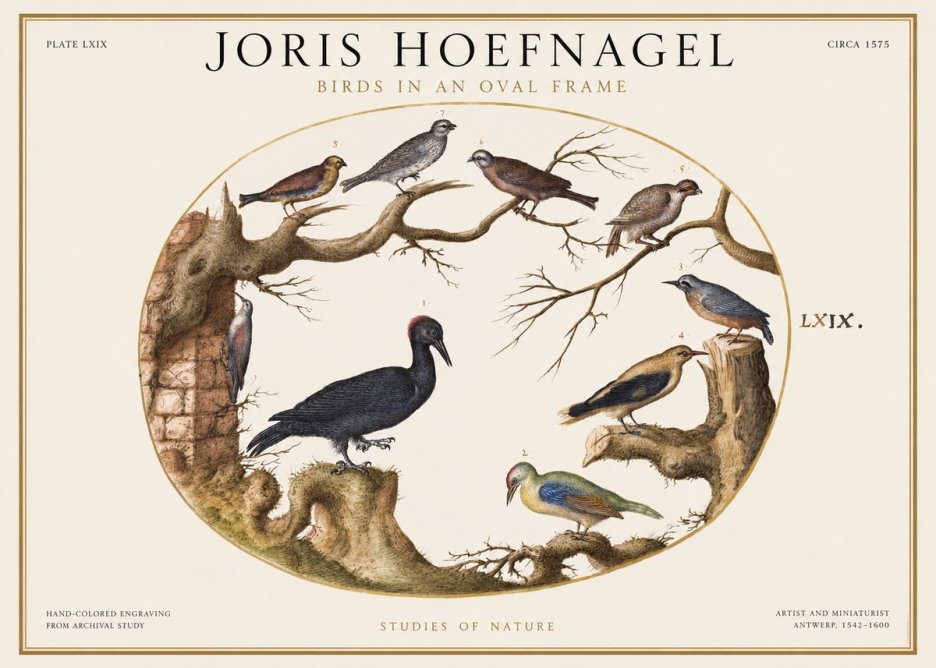 Joris Hoefnagel Birds in an Oval Frame No1 - Poszter