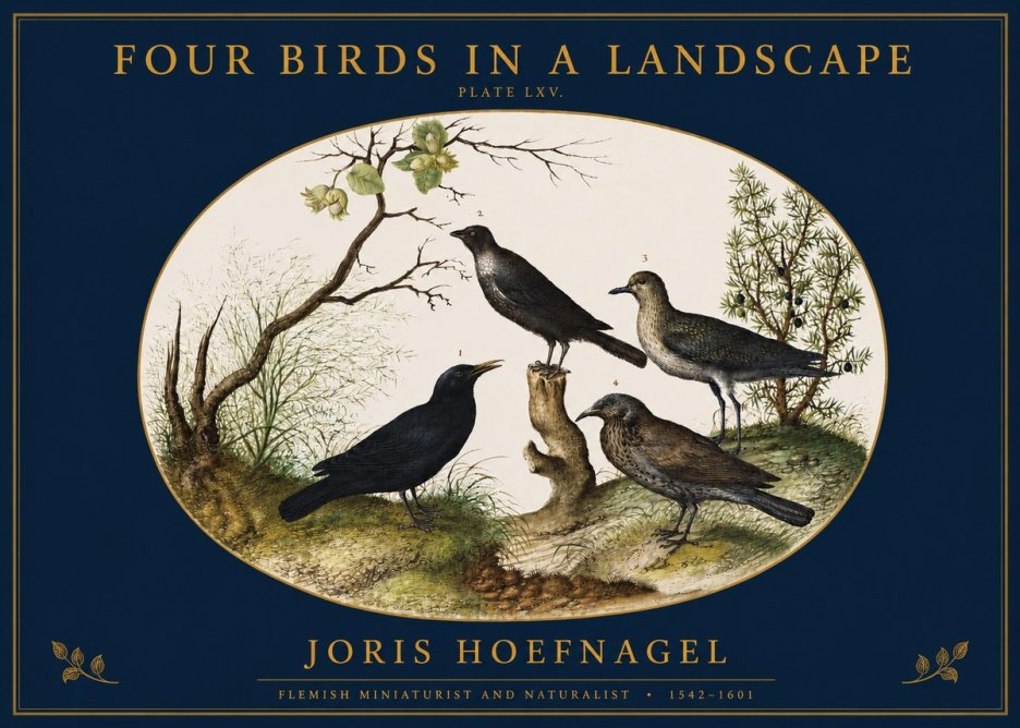 Joris Hoefnagel Four Birds in a Landscape No2 - Poszter