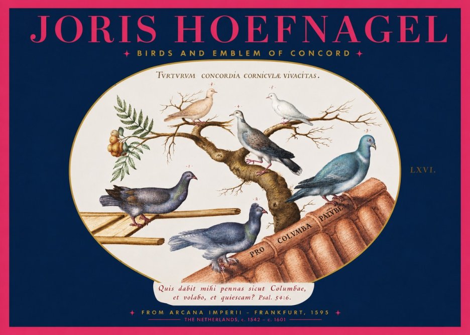 Joris Hoefnagel Birds and Emblem of Concord No2 - Poszter