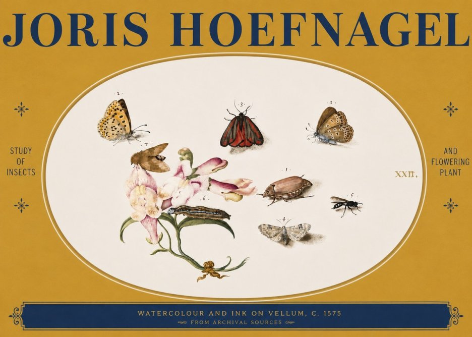 Joris Hoefnagel Study of Insects and Flowering Plant No3 - Poszter