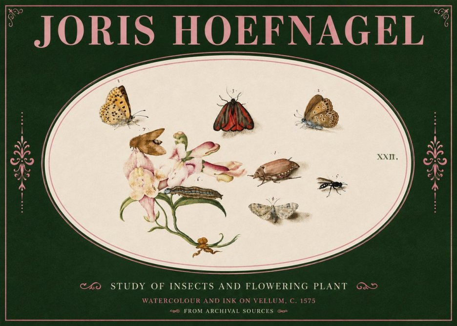 Joris Hoefnagel Study of Insects and Flowering Plant No4 - Poszter