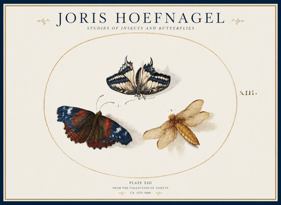 Joris Hoefnagel Studies of Insects - Plate Xiii No2 - Poszter