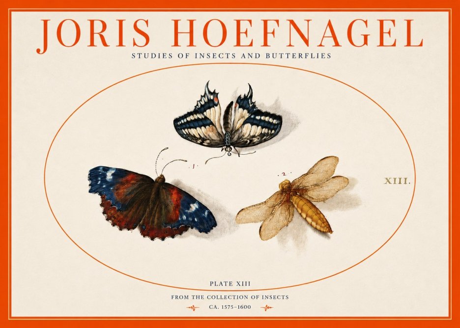 Joris Hoefnagel Studies of Insects - Plate Xiii No3 - Poszter