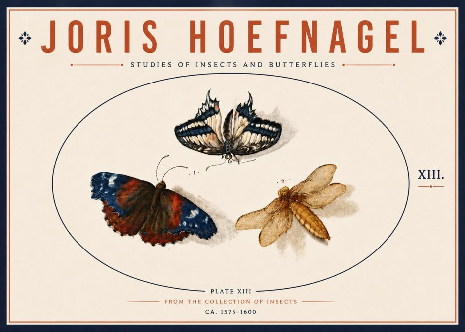 Joris Hoefnagel Studies of Insects - Plate Xiii No6 - Poszter