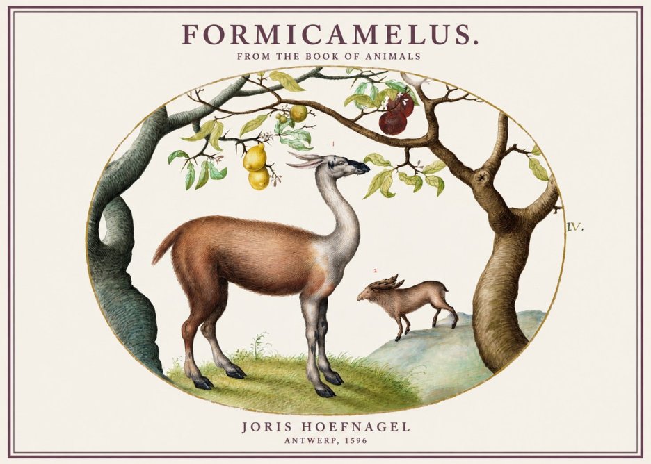 Joris Hoefnagel Formicamelus. No1 - Poszter