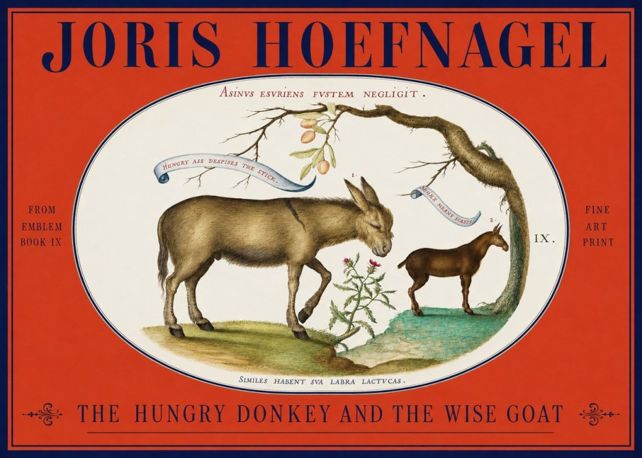 Joris Hoefnagel The Hungry Donkey and the Wise Goat No2 - Poszter