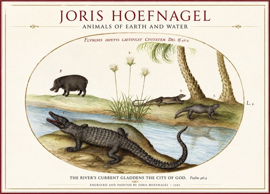 Joris Hoefnagel Animals of Earth and Water No1 - Poszter