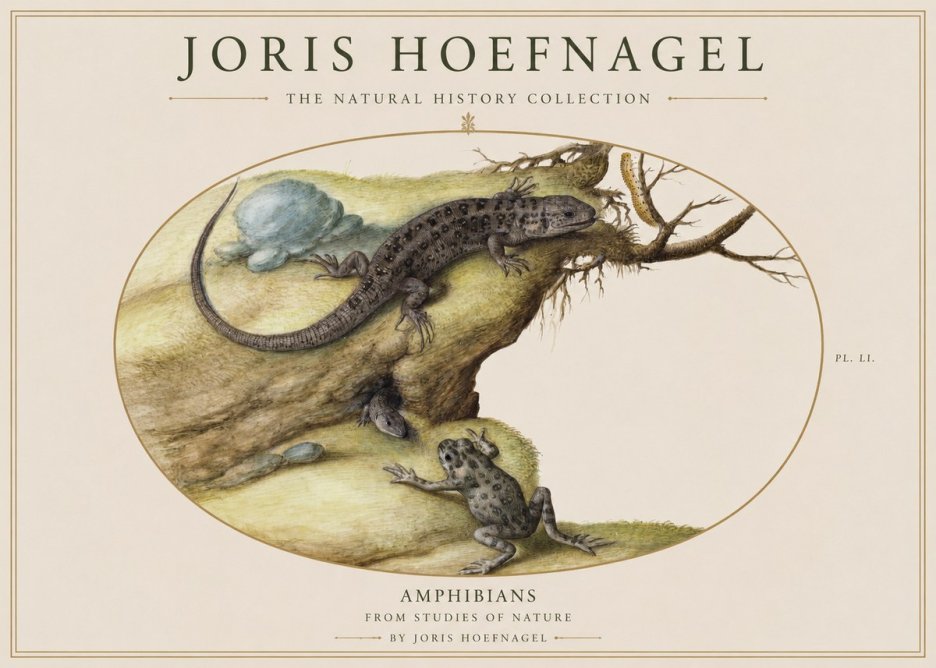 Joris Hoefnagel Amphibians from Studies of Nature No1 - Poszter