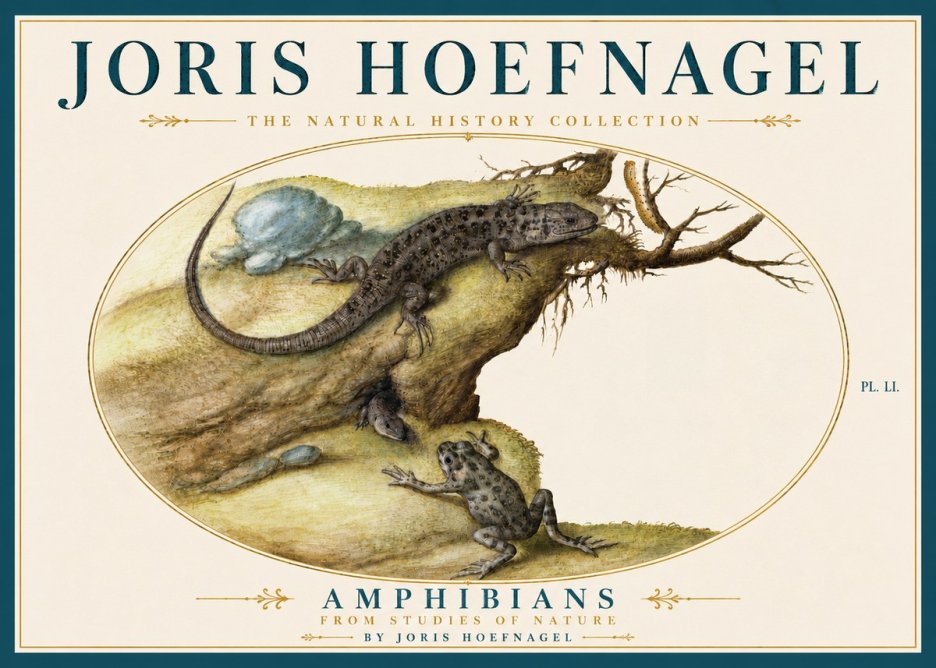 Joris Hoefnagel Amphibians from Studies of Nature No5 - Poszter