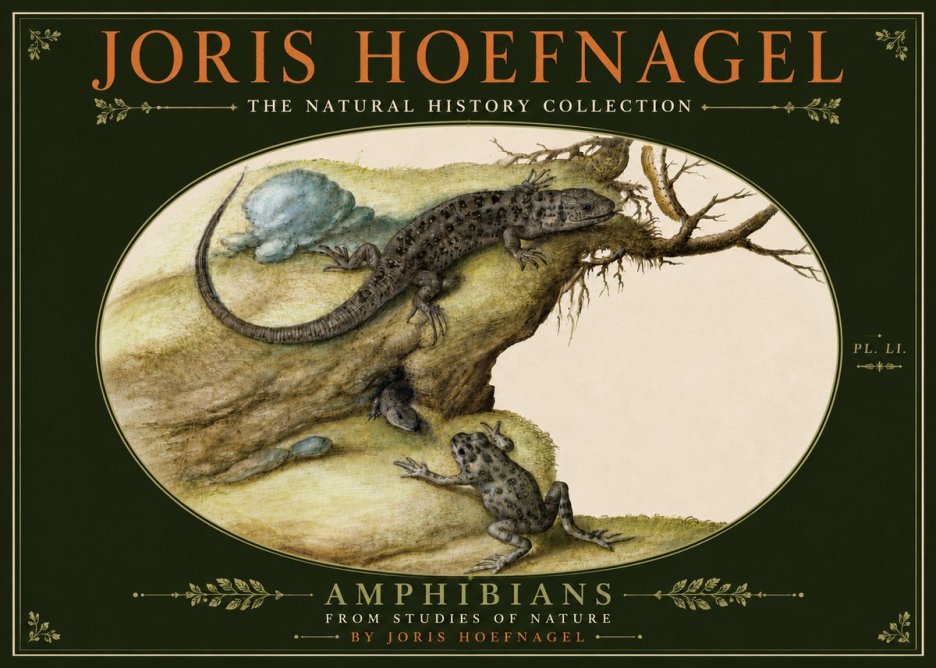 Joris Hoefnagel Amphibians from Studies of Nature No6 - Poszter
