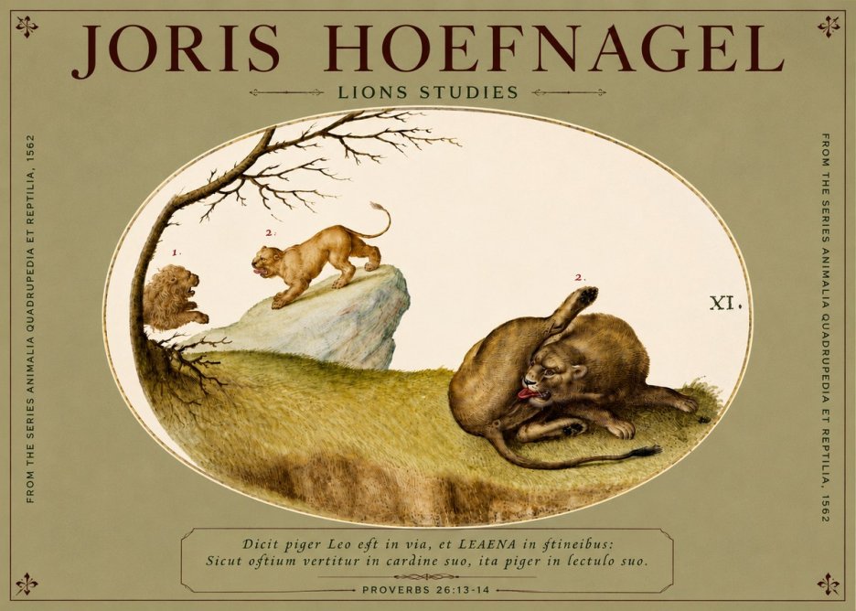 Joris Hoefnagel Lions Studies No4 - Poszter