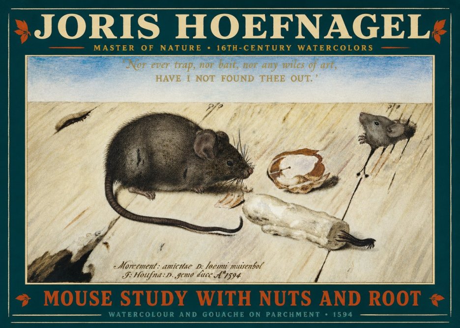 Joris Hoefnagel Mouse Study with Nuts and Root No2 - Poszter