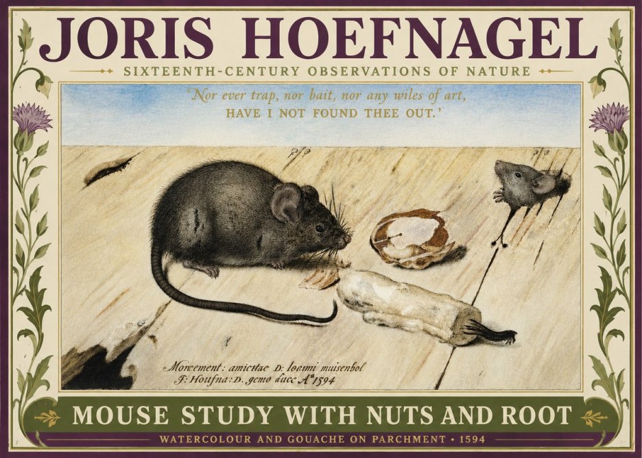 Joris Hoefnagel Mouse Study with Nuts and Root No3 - Poszter