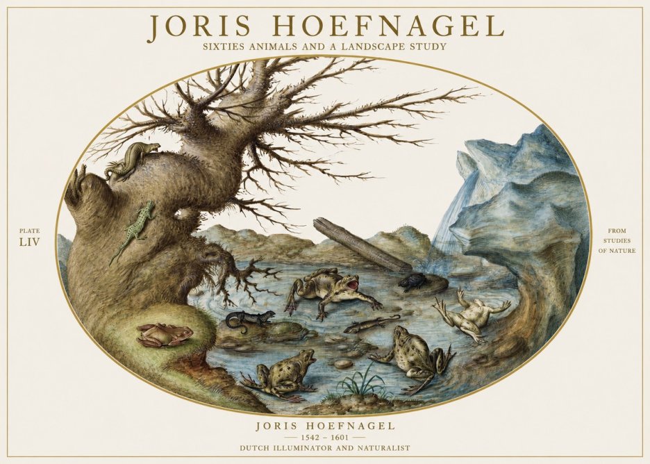 Joris Hoefnagel Sixtties Animals and a Landscape Study No1 - Poszter
