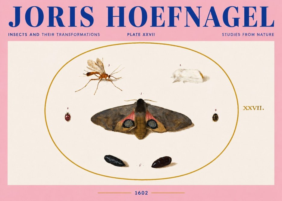 Joris Hoefnagel Insects and Their Transformations - Plate Xxvii No4 - Poszter