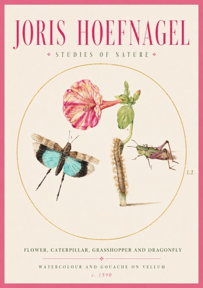 Joris Hoefnagel Plate L1. Studies of Insects and Plants No3 - Poszter