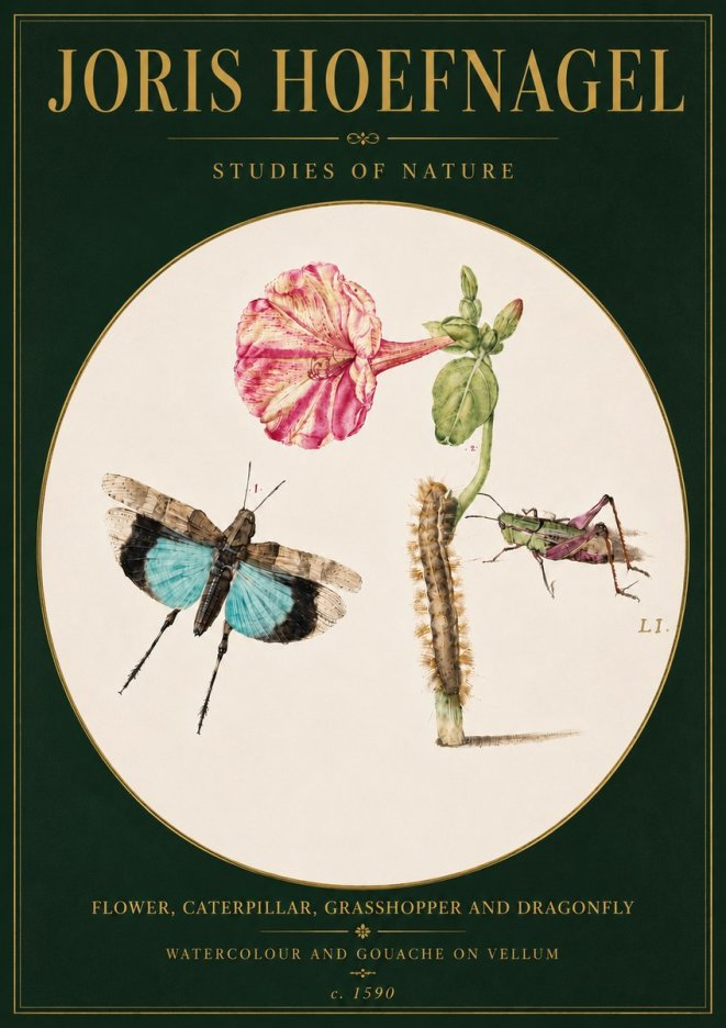 Joris Hoefnagel Plate L1. Studies of Insects and Plants No6 - Poszter