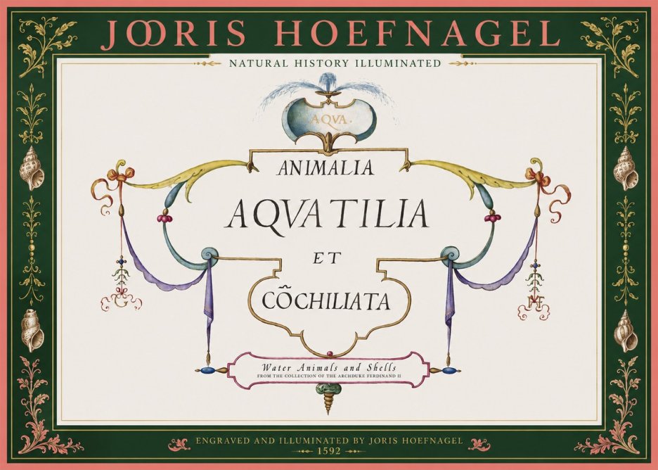 Joris Hoefnagel Animalia Aquatilia Et Cochiliata No2 - Poszter
