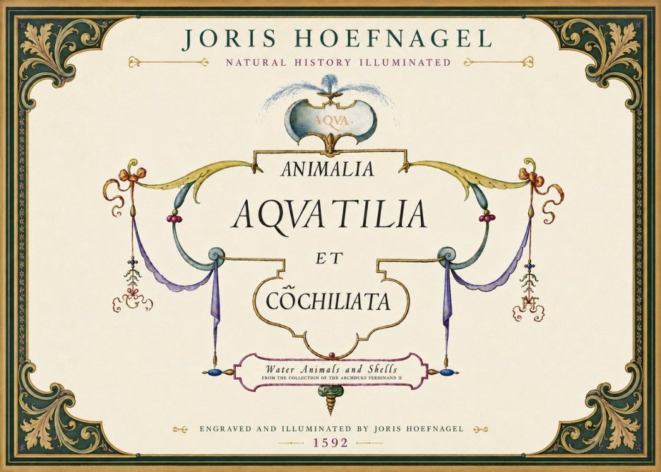 Joris Hoefnagel Animalia Aquatilia Et Cochiliata No6 - Poszter