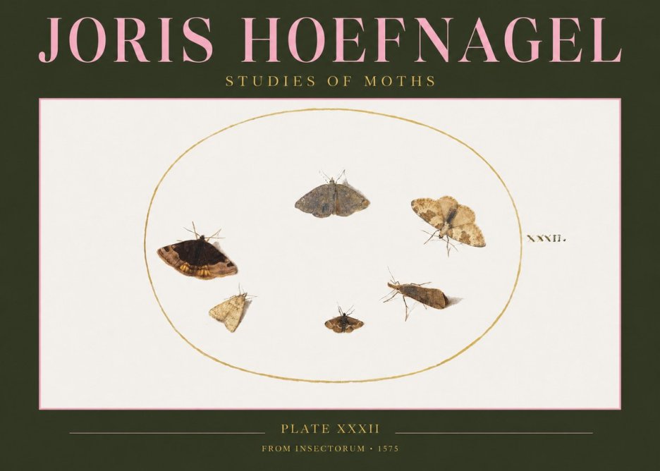 Joris Hoefnagel Studies of Moths III No2 - Poszter