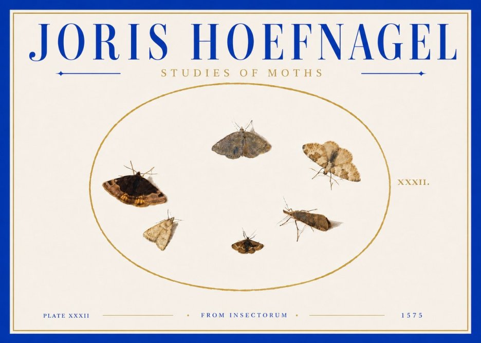 Joris Hoefnagel Studies of Moths III No6 - Poszter