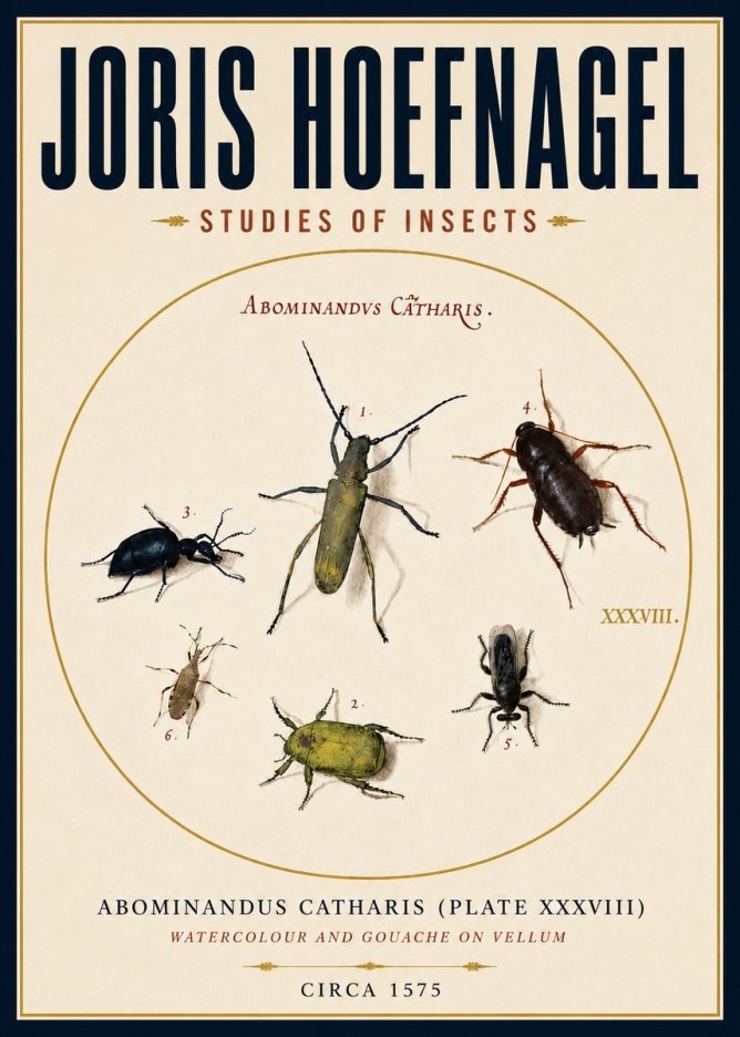 Joris Hoefnagel Abominandus Catharis (Plate Xxxviii) No4 - Poszter
