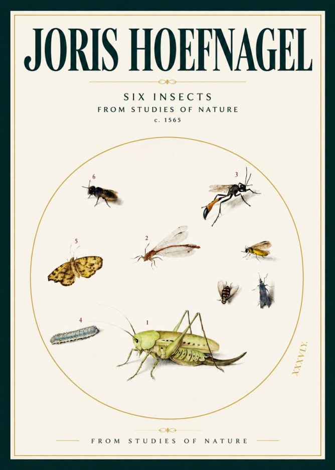 Joris Hoefnagel Six Insects from Studies of Nature C. 1565 No2 - Poszter