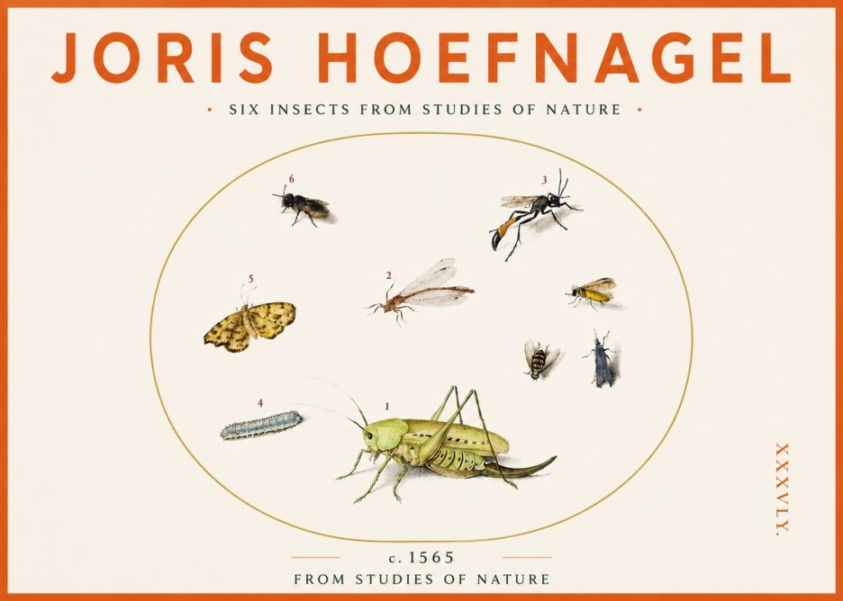 Joris Hoefnagel Six Insects from Studies of Nature C. 1565 No3 - Poszter
