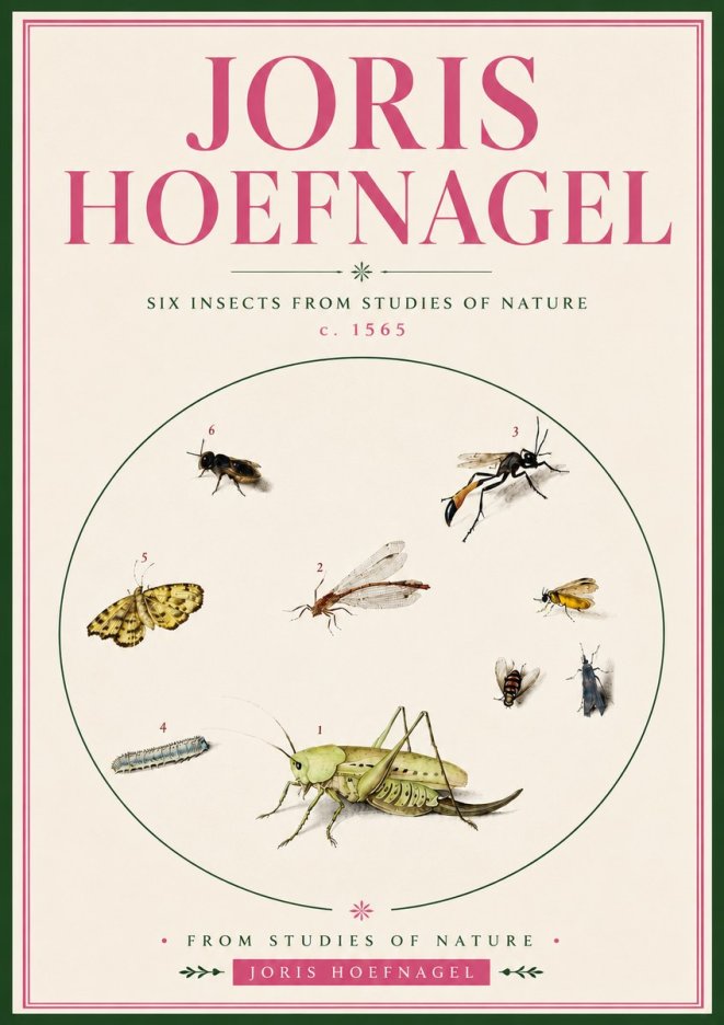 Joris Hoefnagel Six Insects from Studies of Nature C. 1565 No5 - Poszter