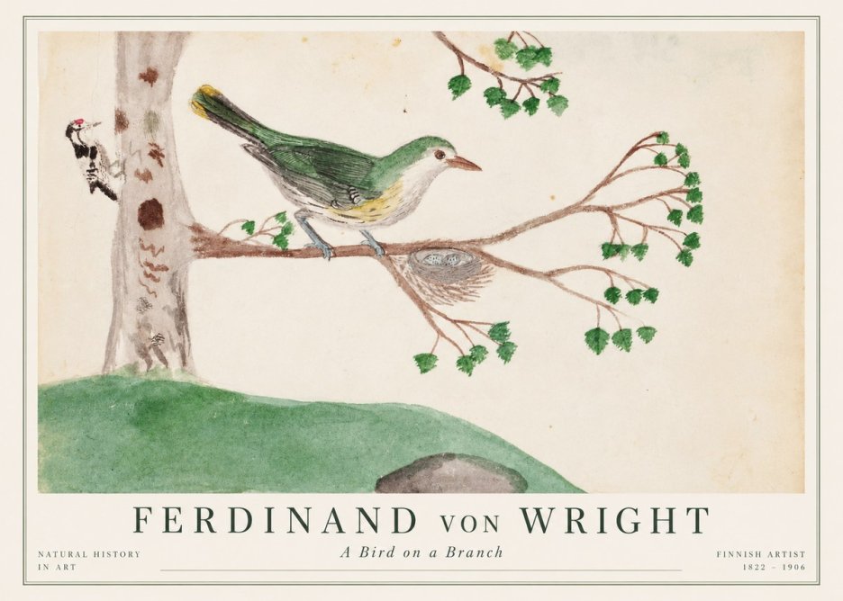 Ferdinand von Wright Green Warbler with Nest No2 - Poszter