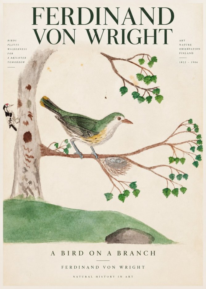 Ferdinand von Wright Green Warbler with Nest No4 - Poszter
