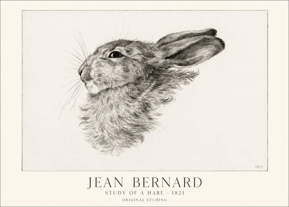 Jean Bernard Study of a Hare No1 - Poszter