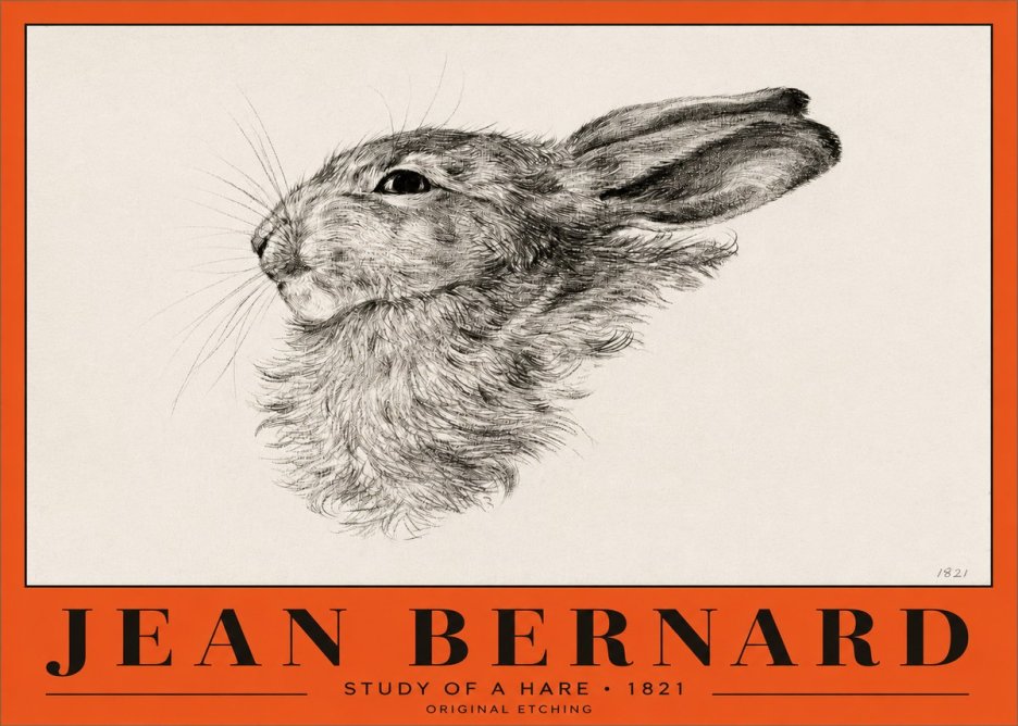 Jean Bernard Study of a Hare No2 - Poszter
