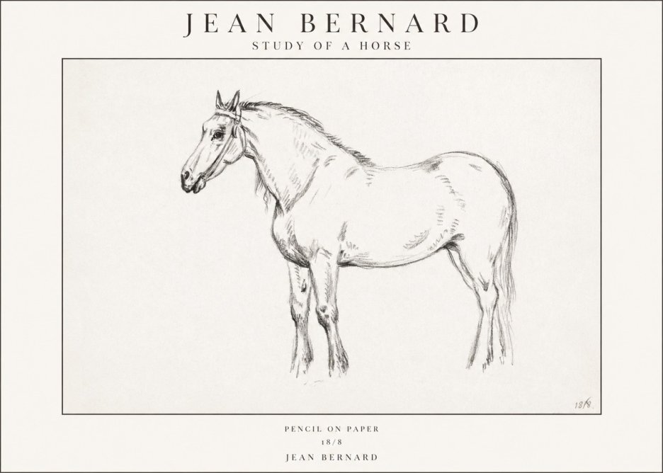 Jean Bernard Study of a Horse XVII No1 - Poszter