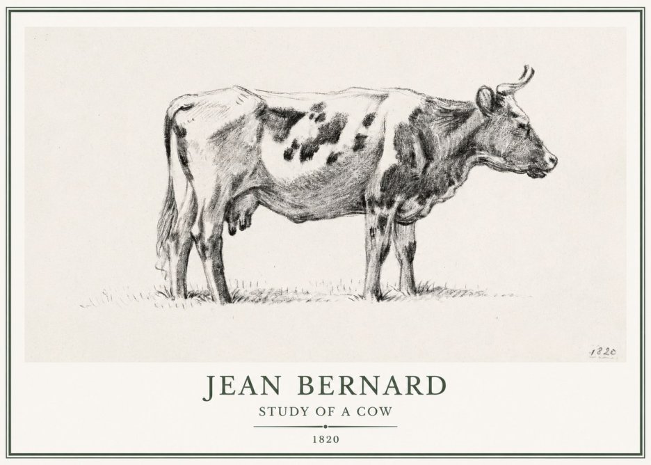 Jean Bernard Study of a Cow XX No1 - Poszter