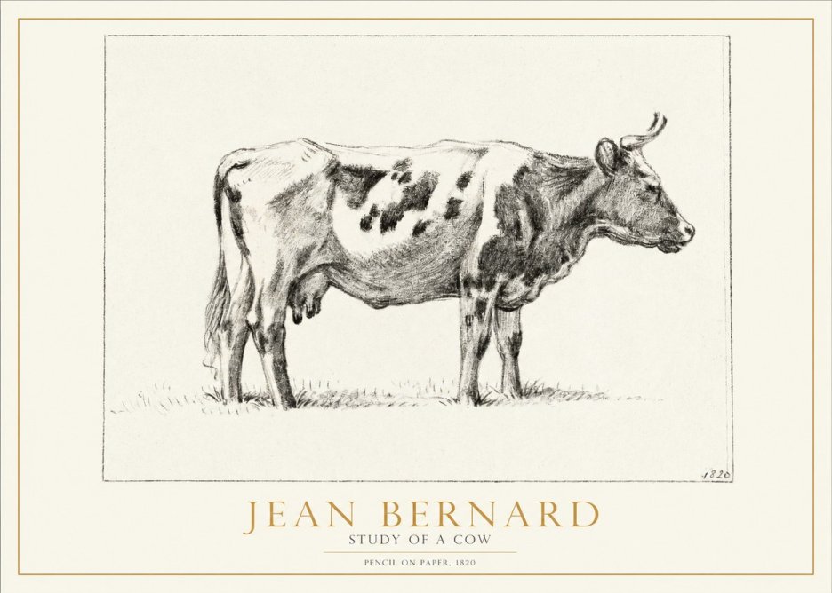 Jean Bernard Study of a Cow XX No2 - Poszter