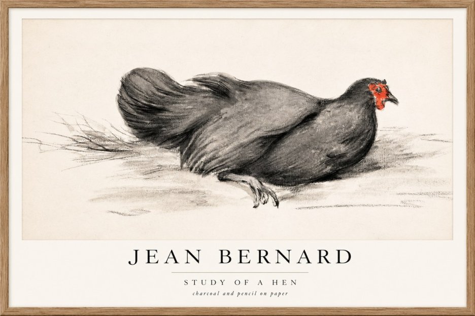 Jean Bernard Study of a Hen No1 - Poszter