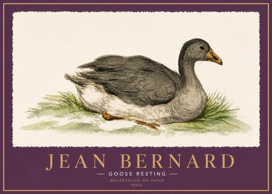 Jean Bernard Goose Resting No6 - Poszter