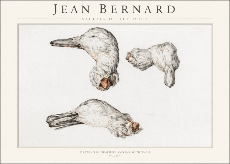 Jean Bernard Studies of the Duck No1 - Poszter