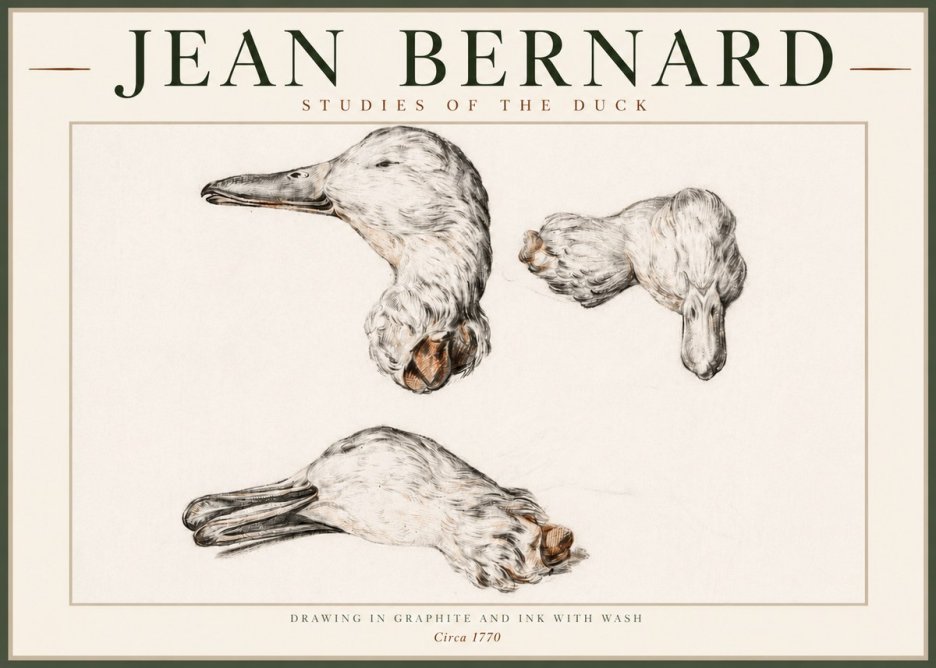 Jean Bernard Studies of the Duck No4 - Poszter