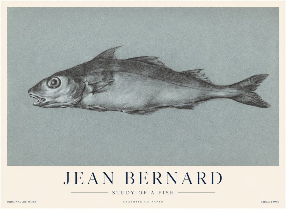 Jean Bernard Fish Study I No4 - Poszter