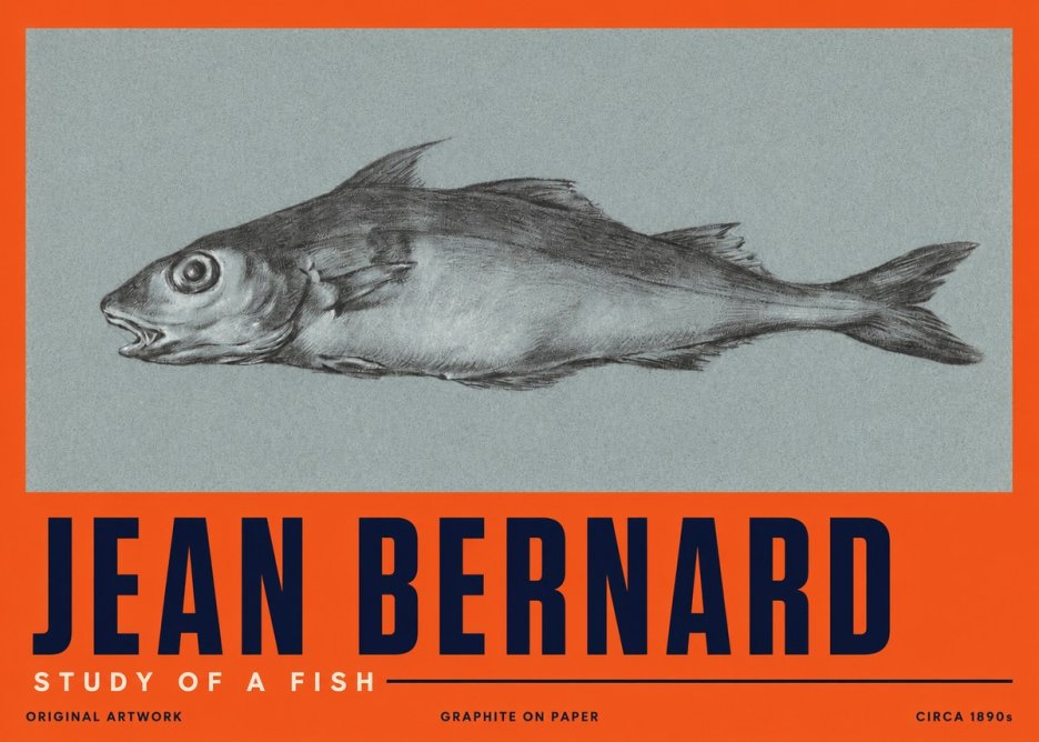 Jean Bernard Fish Study I No5 - Poszter