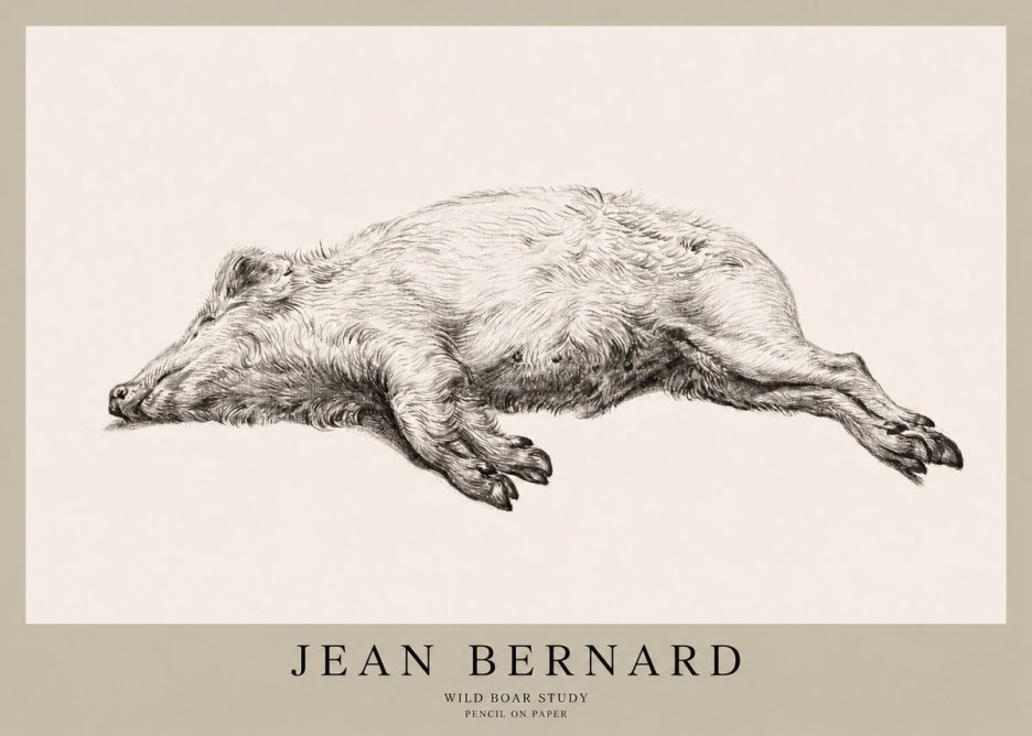 Jean Bernard Wild Boar Study No1 - Poszter