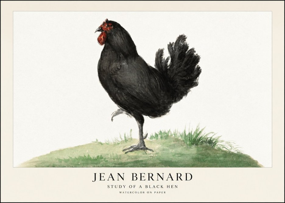Jean Bernard Study of a Black Hen No1 - Poszter