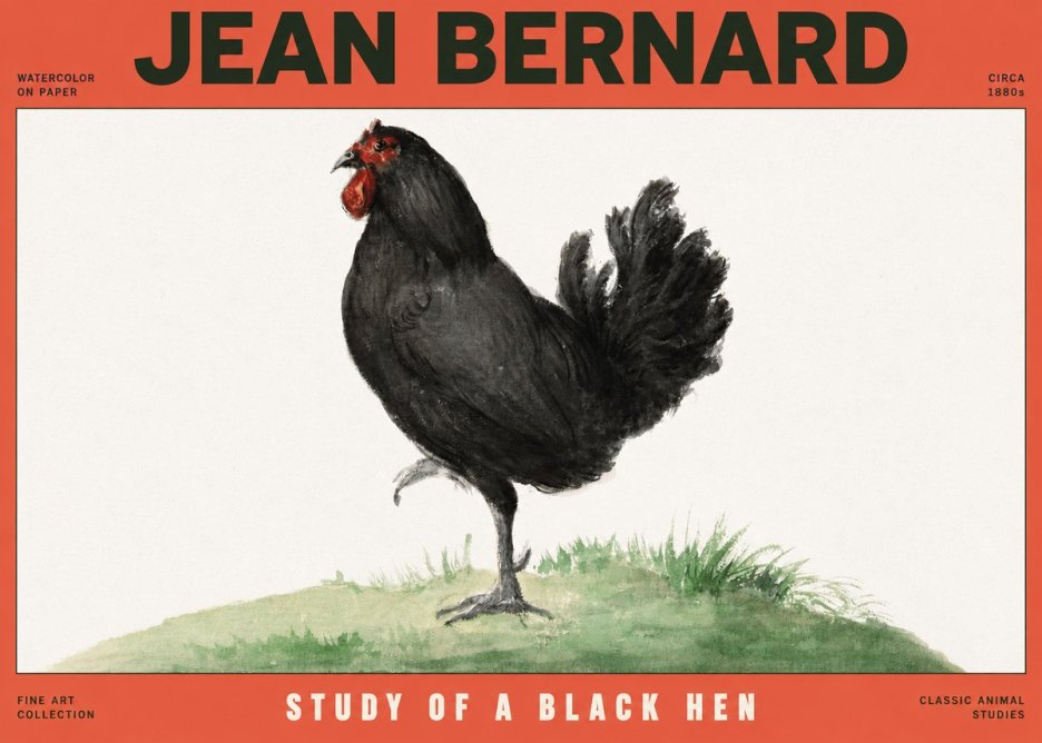 Jean Bernard Study of a Black Hen No2 - Poszter