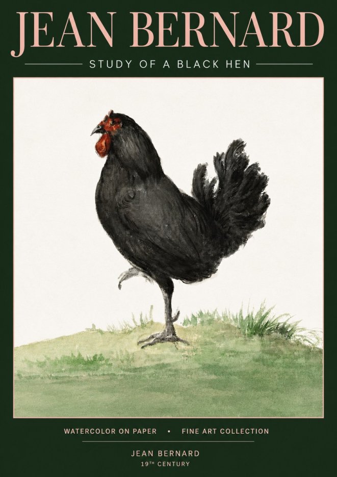 Jean Bernard Study of a Black Hen No3 - Poszter